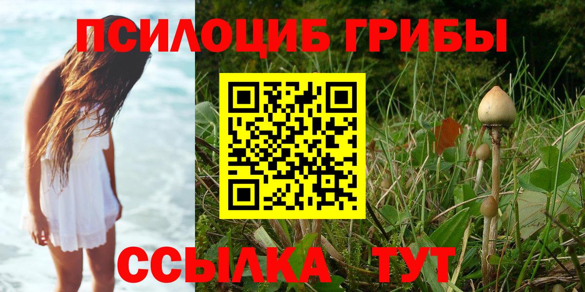 Псилоцибиновые грибы мицелий Прохладный