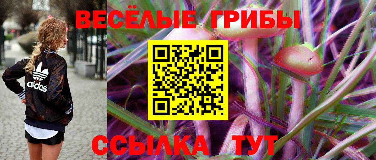 Прохладный  Псилоцибиновые грибы Psilocybine cubensis  Псилоцибиновые грибы MAGIC MUSHROOMS  Вход с VPN 